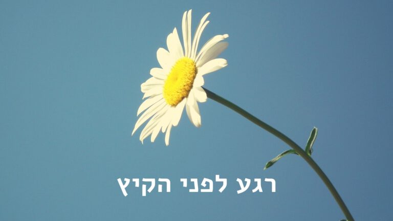 חרצית - רגע לפני הקיץ